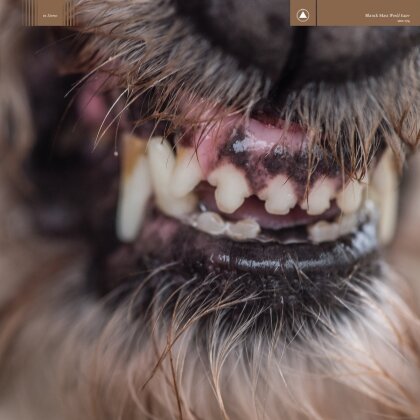 Blanck Mass - World Eater (2022 Reissue, Limited Edition, Clear With Red Splatter Vinyl, LP)