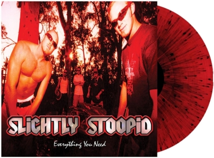 Slightly Stoopid - Everything You Need (2022 Reissue, LP)