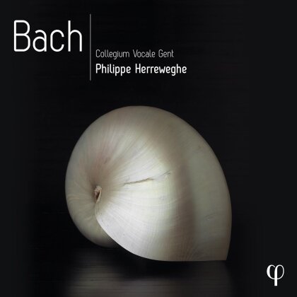 Collegium Vocale Gent, Johann Sebastian Bach (1685-1750) & Philippe Herreweghe - Bach (10 CDs)