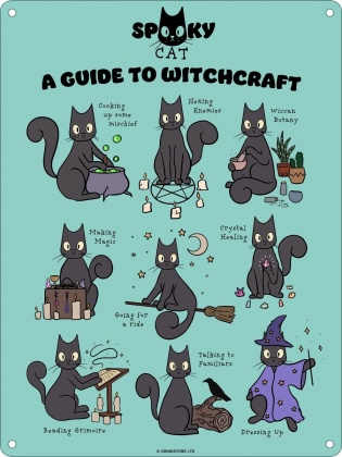 Spooky Cat A Guide To Witchcraft - Mini Tin Sign