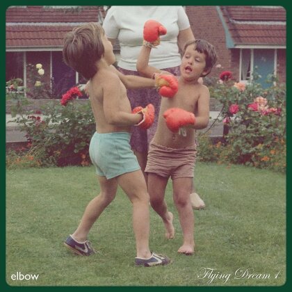 Elbow - Flying Dream 1 (Transparent Vinyl, LP)