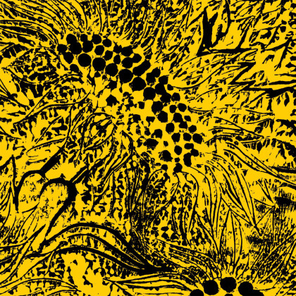 Amanda Whiting - Little Sunflower EP (10" Maxi)