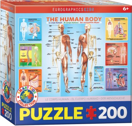 Der menschliche Körper (Puzzle)