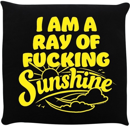 I Am a Ray of Fucking Sunshine - Cushion