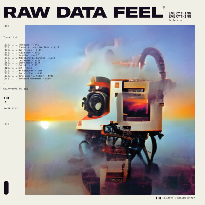 Everything Everything - Raw Data Feel (Gatefold, Clear Vinyl, LP)