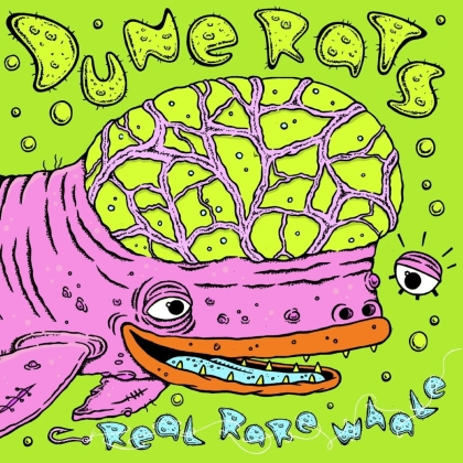 Dune Rats - Real Rare Whale (LP)