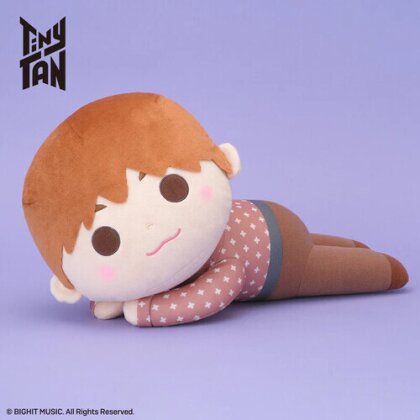 Sega - Bts - Tinytan Dreamy Mej Doll Dy - Jin Plush