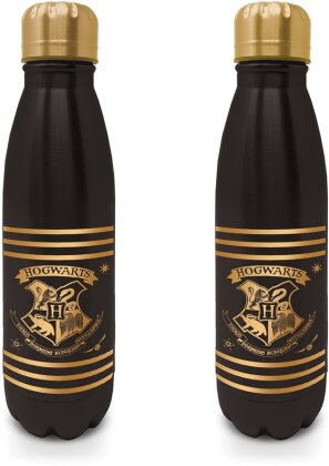 Harry Potter - Bottle [540 ml]
