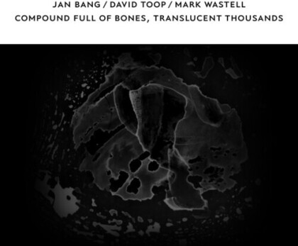 David Toop, Jan Bang & Mark Wastell - Compound Full Of Bones, Translucent Thousands