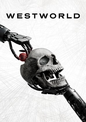 Westworld - Season 4 (2 DVDs)