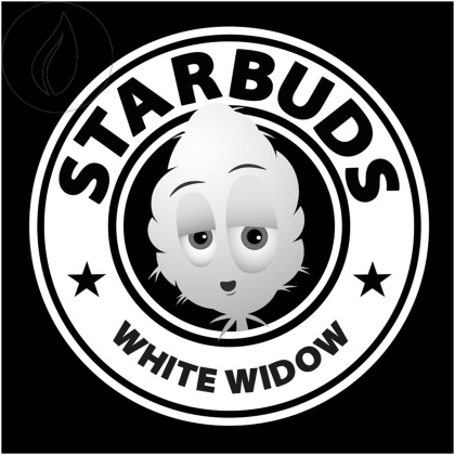 Starbuds White Widow (15g) - Indoor (CBD: 21%, THC: <1%)