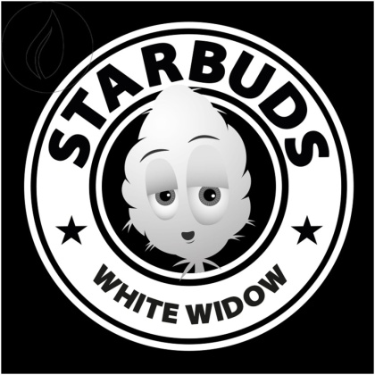 Starbuds White Widow (3g) - Indoor (CBD: 21%, THC: <1%)