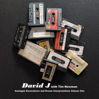 David J & Tim New - Analogue Excavations & Dream Interpretat (LP)