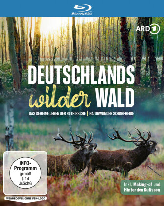 Deutschlands wilder Wald - Das geheime Leben der Rothirsche / Naturwunder Schorfheide