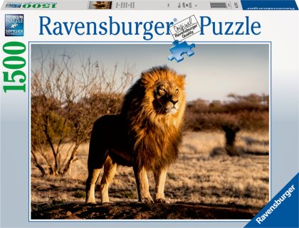 Der Löwe: Der König der Tiere - 1500 Teile Puzzle