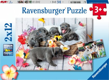Kleine Fellknäuel - 2x12 Teile Puzzle für Kinder ab 3 Jahren