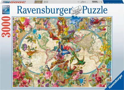 Weltkarte mit Schmetterlingen - 3000 Teile Puzzle