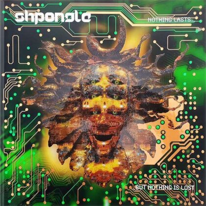 Shpongle - Nothing Lasts But Nothing Is Lost (2022 Reissue, Remastered, 2 LPs)