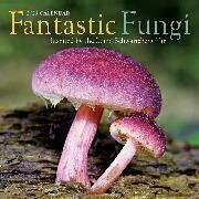Fantastic Fungi Wall Calendar 2023