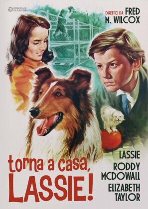 Torna a casa Lassie! (1943) (Cineclub Classico, b/w)