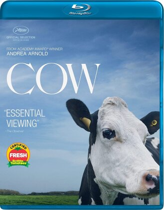 Cow (2021)
