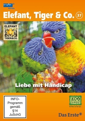 Elefant, Tiger & Co. - Teil 37 - Liebe mit Handicap (2 DVDs)