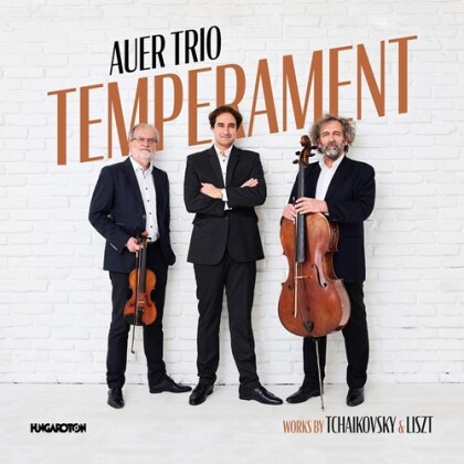 Auer Trio, Peter Iljitsch Tschaikowsky (1840-1893) & Franz Liszt (1811-1886) - Temperament