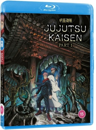 Jujutsu Kaisen - Season 1 - Part 1 (Standard Edition, 2 Blu-rays)