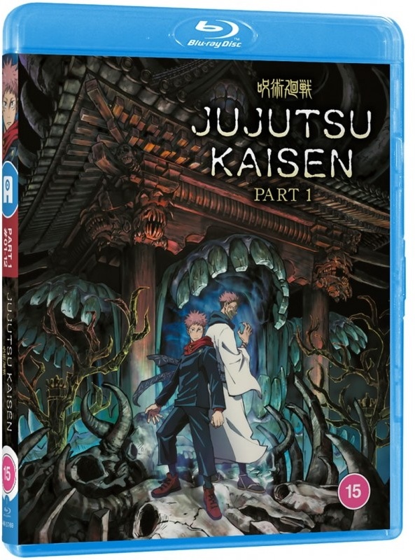 Jujutsu Kaisen - Season 1 - Part 1 (Standard Edition, 2 Blu-ray)