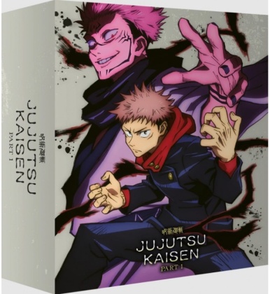 Jujutsu Kaisen - Season 1 - Part 1 (Édition Collector Limitée, 2 Blu-ray + CD)