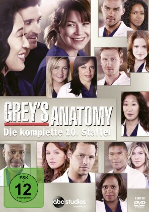 Grey's Anatomy - Staffel 10 (6 DVDs)