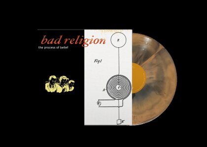 Bad Religion - Process Of Belief (2022 Reissue, Epitaph, Orange/Black Galaxy Vinyl, LP)