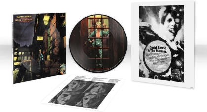 David Bowie - The Rise And Fall Of Ziggy Stardust And The Spiders From Mars (2012 Remaster, 2022 Reissue, 50th Anniversary Edition, Picture Disc, LP)