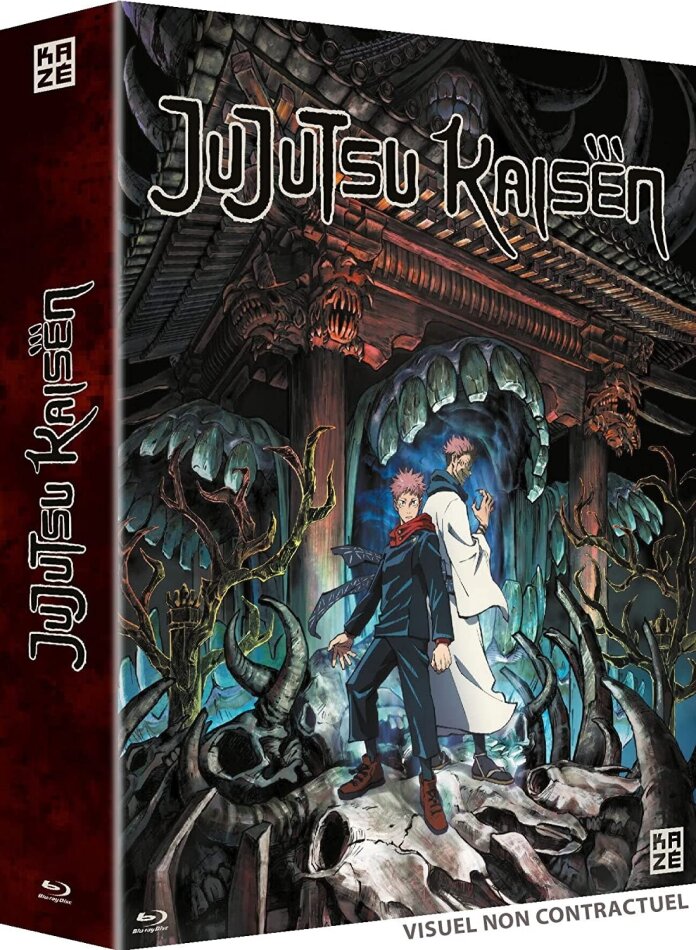 Jujutsu Kaisen - Saison 1 (4 Blu-ray)