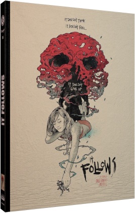 It Follows (2014) (Cover D, Limited Edition, Mediabook, Blu-ray + DVD)