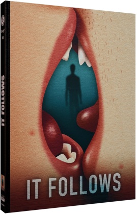 It Follows (2014) (Cover E, Limited Edition, Mediabook, Blu-ray + DVD)