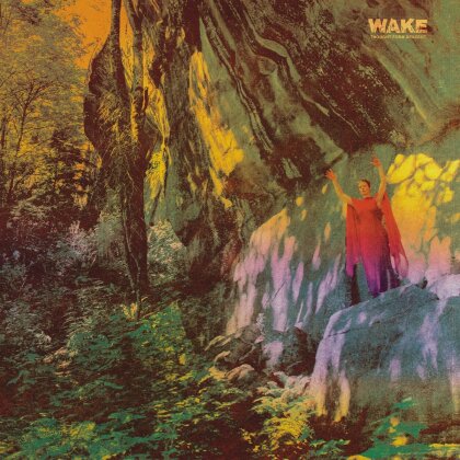 Wake - Thought From Descent (LP)