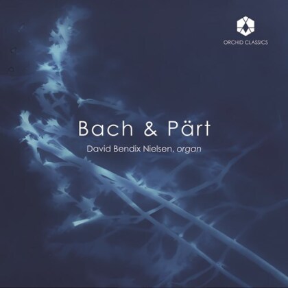 Johann Sebastian Bach (1685-1750), Arvo Pärt (*1935) & David Bendix Nielsen - Bach & Part