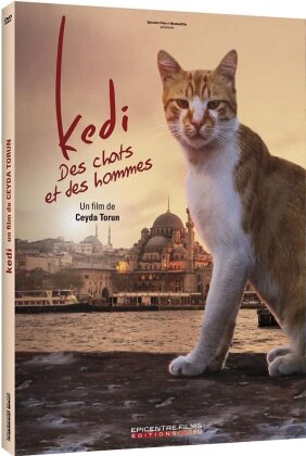 Kedi - Des chats et des hommes (2016)