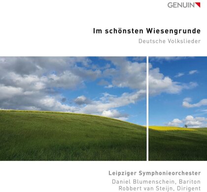 Leipziger Symphonieorchester, Robert van Steijn & Danuiel Blumenschein - Im Schönsten Wiesengrunde