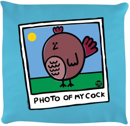 Pop Factory: Photo Of My Cock - Sky Blue Cushion