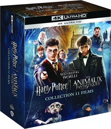 Wizarding World - Harry Potter 1 à 7.2 & Les animaux fantastiques 1 à 3 (11 4K Ultra HDs)