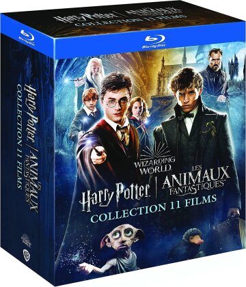 Wizarding World - Harry Potter 1 à 7.2 & Les animaux fantastiques 1 à 3 (14 Blu-ray)
