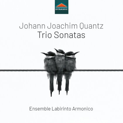 Ensemble Labirinto Armonico & Johann Joachim Quantz (1697-1773) - Trio Sonatas