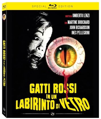 Gatti rossi in un labirinto di vetro (1975) (Special Edition)