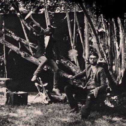 Matthis Pascaud & Hugh Coltman - Night Trippin' (LP)