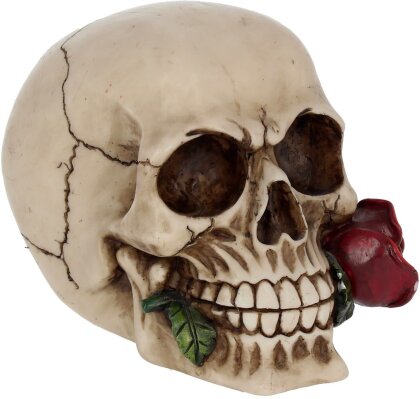 Rose from the Dead Skull 15cm