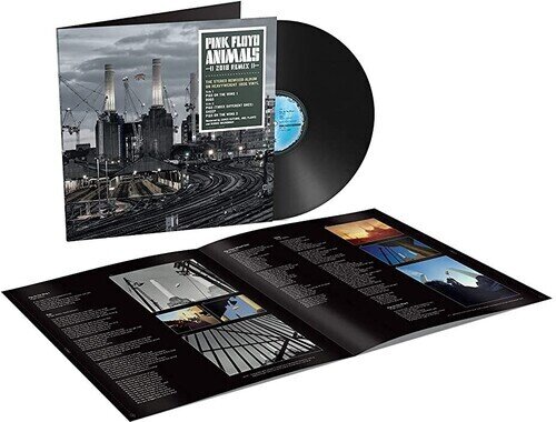 Pink Floyd - Animals (2022 Reissue, 2018 Remix, Pink Floyd Records, LP)