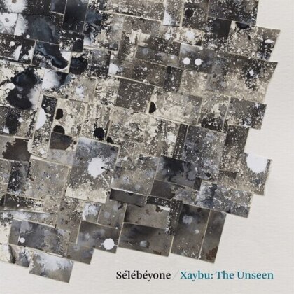 Steve Lehman & Selebeyone - Xaybu: The Unseen (LP)