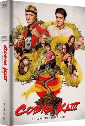 Cobra Kai - Staffel 3 (Cover A, Limited Edition, Mediabook, 2 Blu-rays + 2 DVDs)